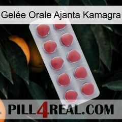 Gelée Orale Ajanta Kamagra 18